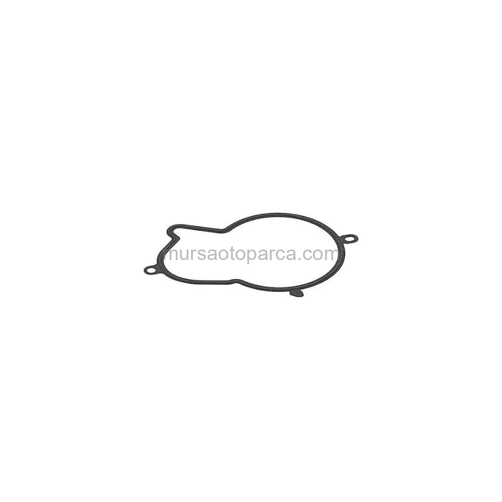 3008/5008/508 Mazot Pompa Contası 09- 