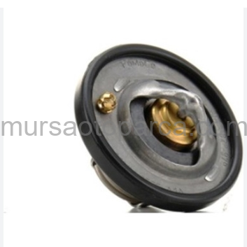 Fiesta Termostat 82 Cc 95-01