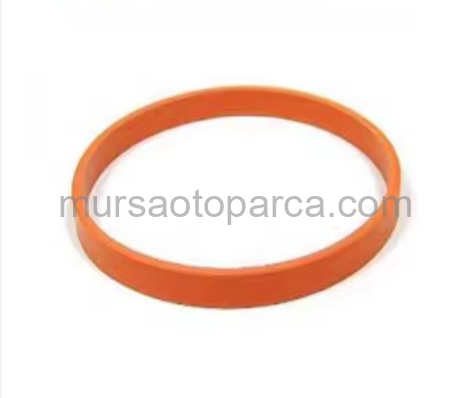 Transit V-347 Emme Manifold Oringi 12- 