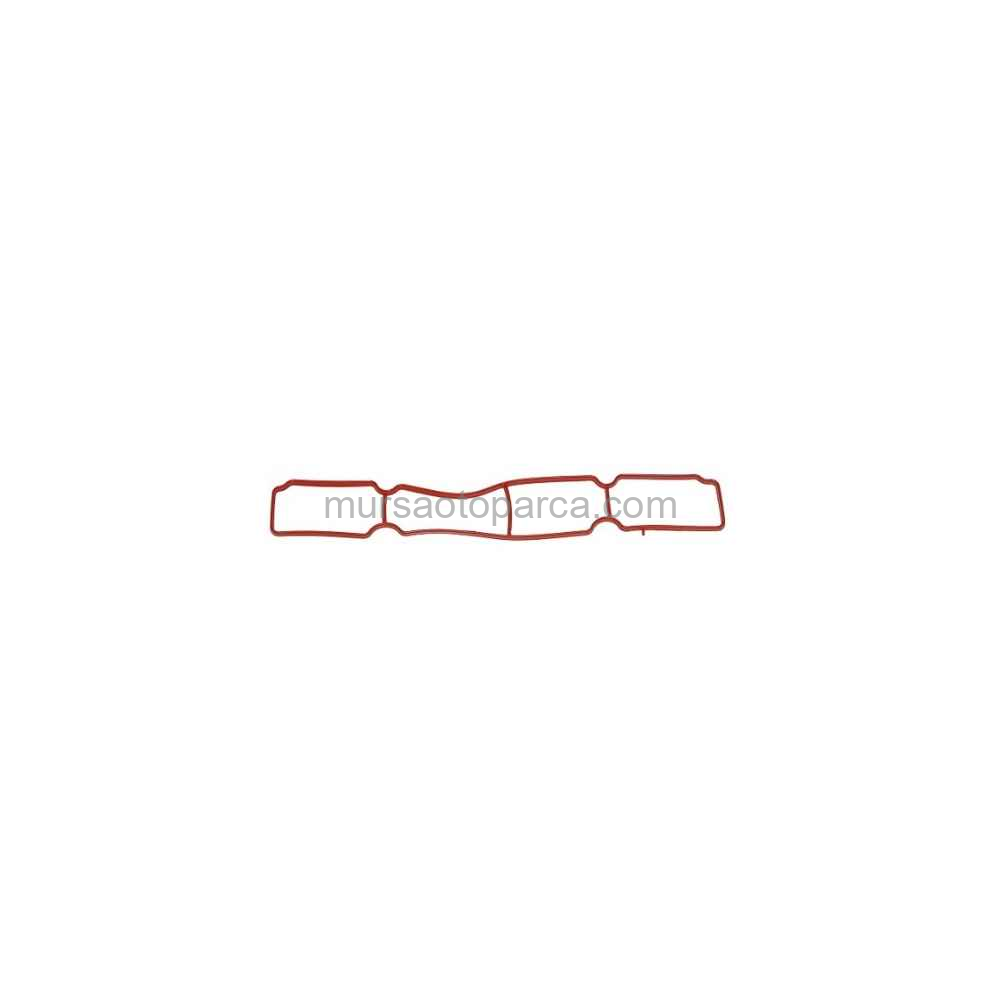 Focus Emme Manifold Conta 11-