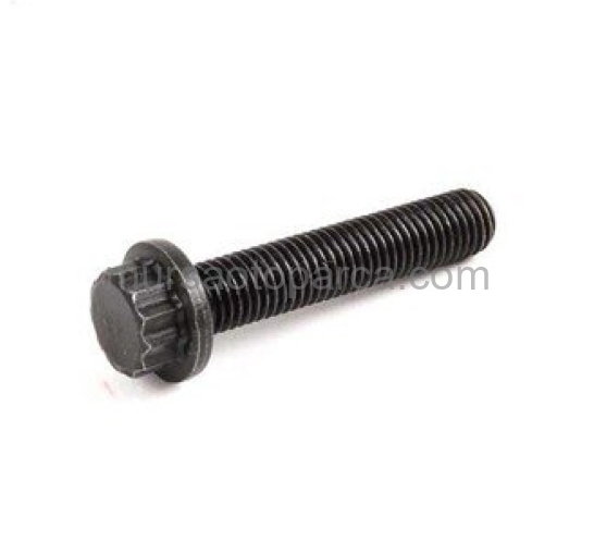 F20-F21-F30-F31-F35 Piston Kolu Civatası 10-19 11247593922 