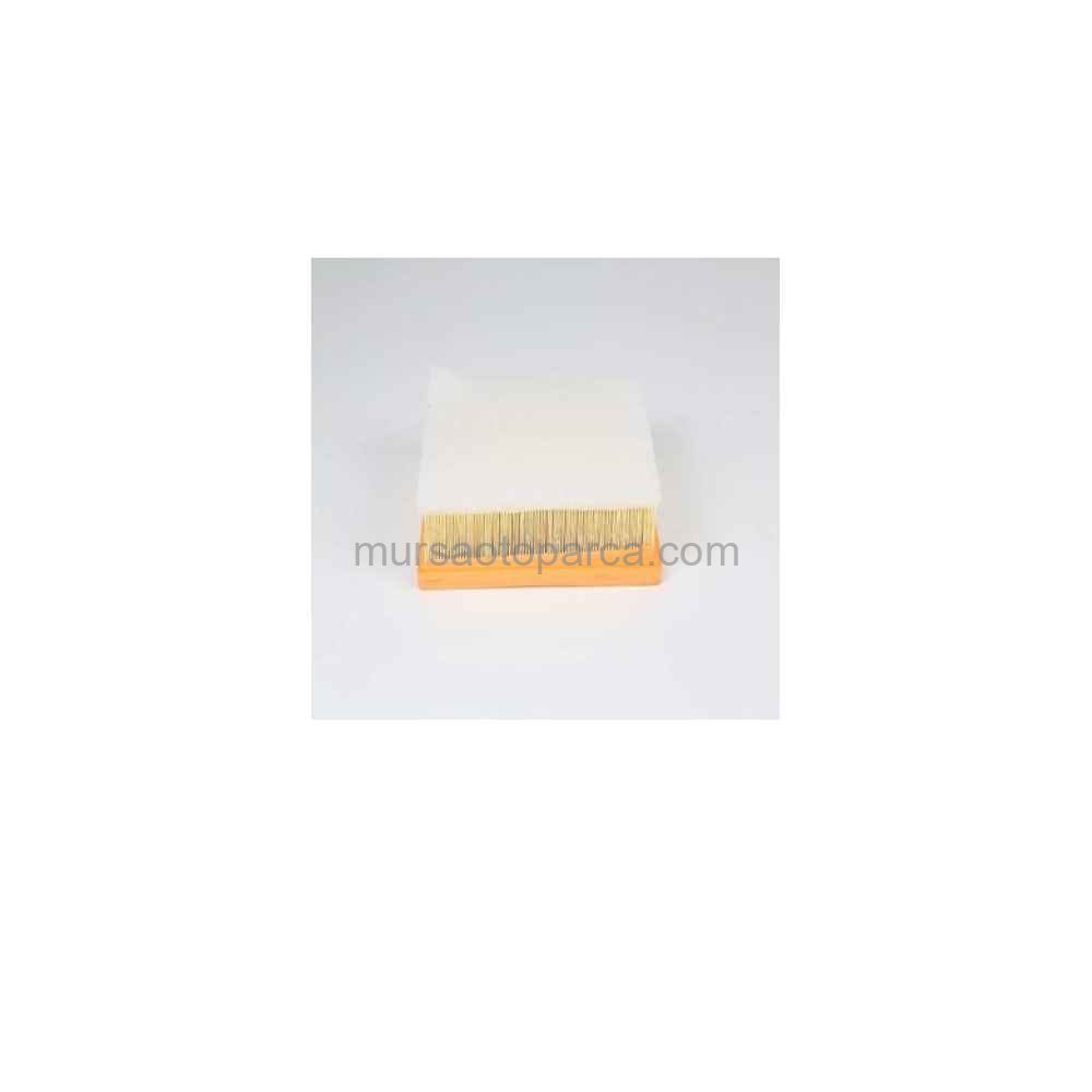 Gran Coupe Hava Filtresi C24024-Lx 2077/4- 13718511668 