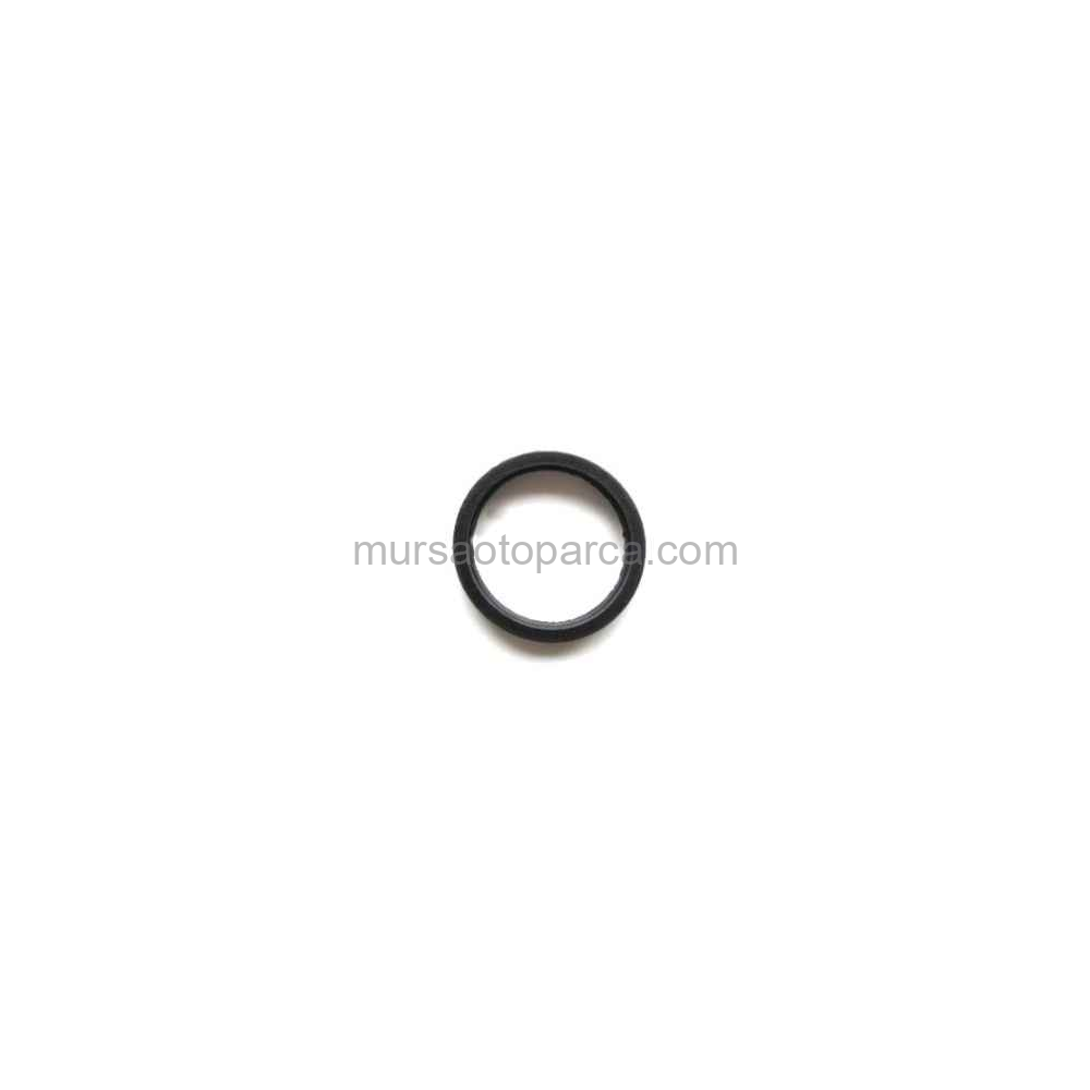 Connect Termostat Çevre Lastiği 02- W704553 S300