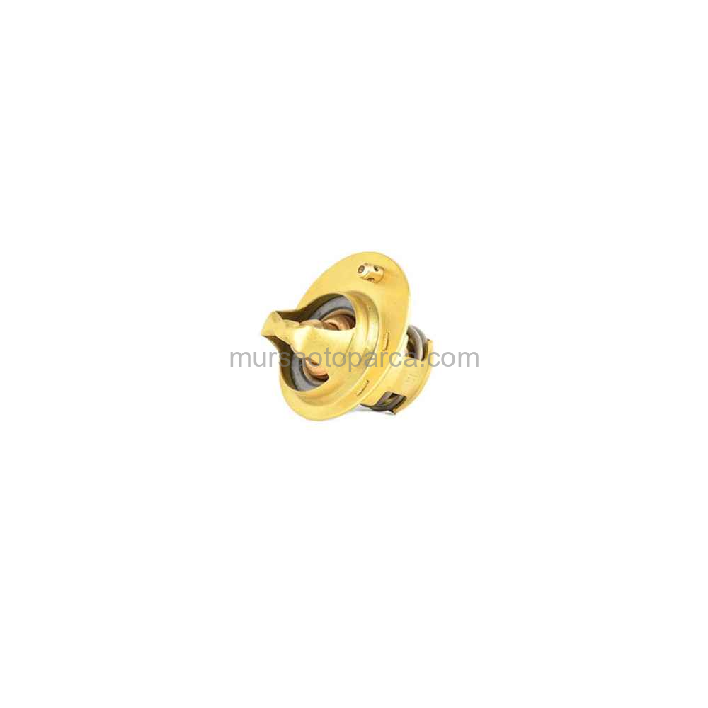 Focus/Fiesta Termostat 82 C 95-04
