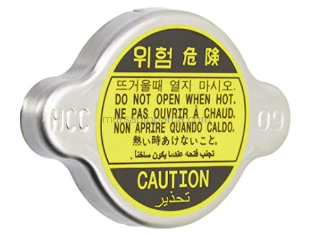 H100 L300 Elantra 1993 Sonrası Radyatör Kapak 2533017000