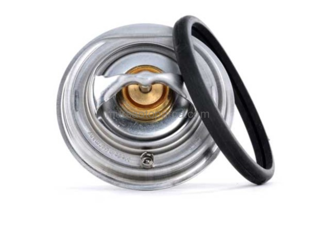 W601-602-603 Motor 1983 Sonrası Termostat A6012000215