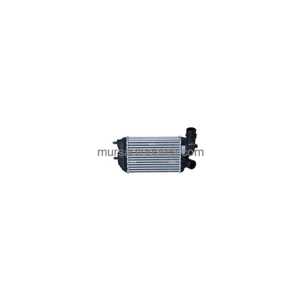 Ducato/Boxer/Jumper Turbo Radyatörü Al/Pl/Brz295X202X62 01- 1307012080