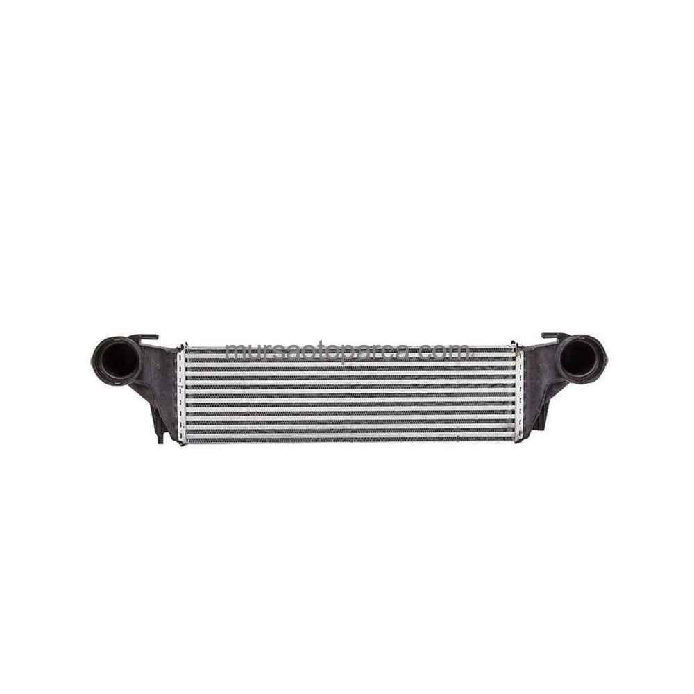 X5 E53 Turbo Radyatörü 03-06 17517791231 