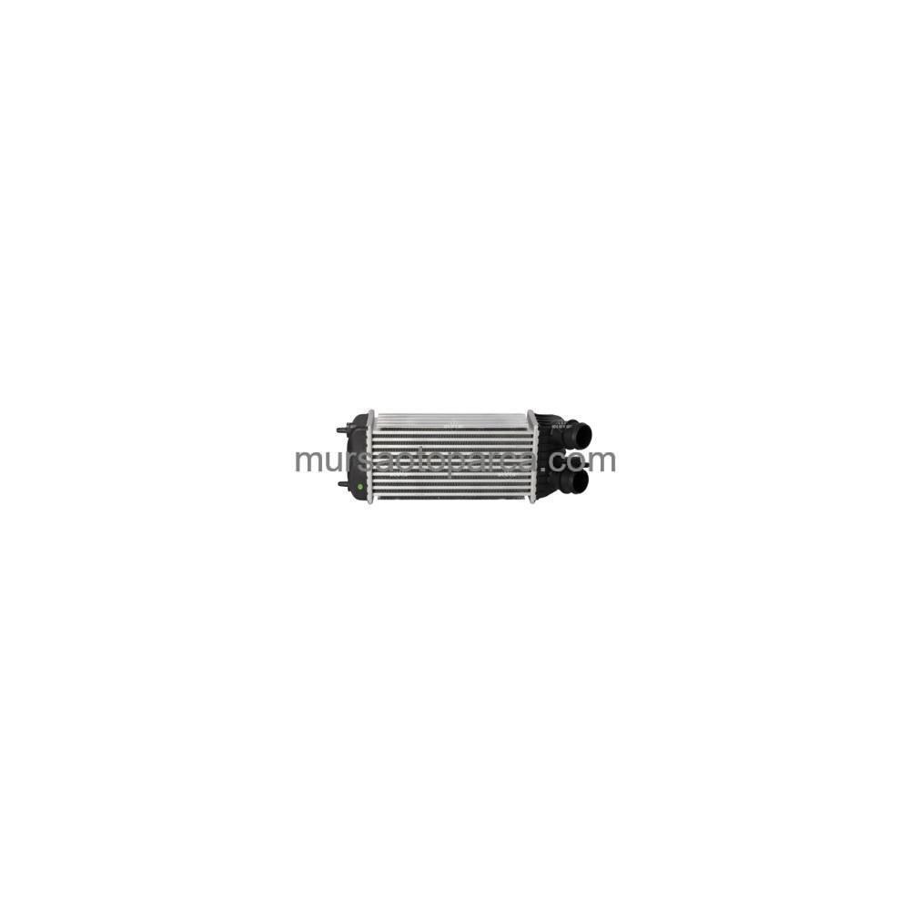 Scudo /Expert /Jumpy Turbo Radyatörü İntercooler 07- 1498987080