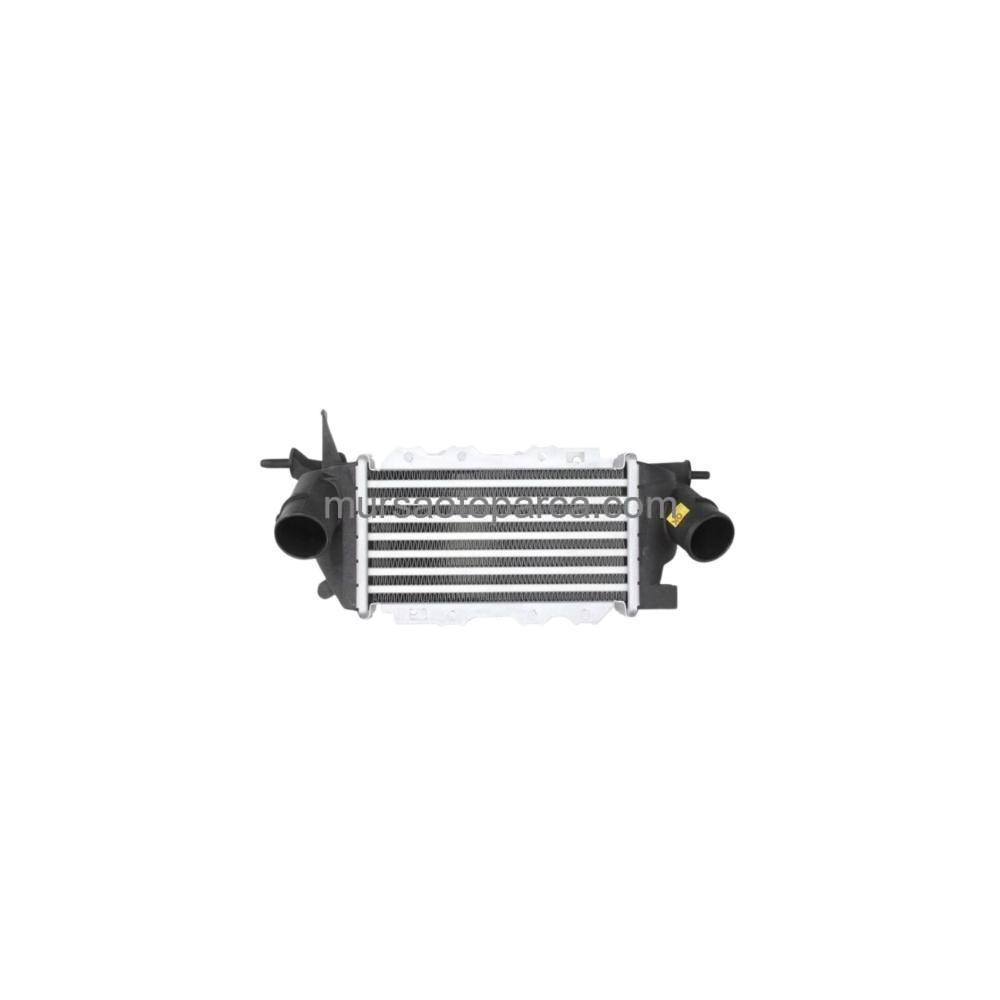 Vectra B Turbo Radyatörü Al/Pl/Brz 96-02 1300403