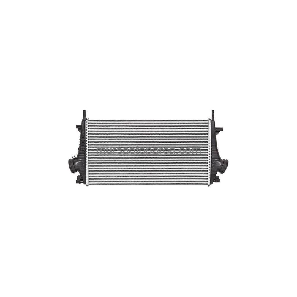 İnsignia A Turbo Radyatörü Al/Pl/Brz 09- 1302647