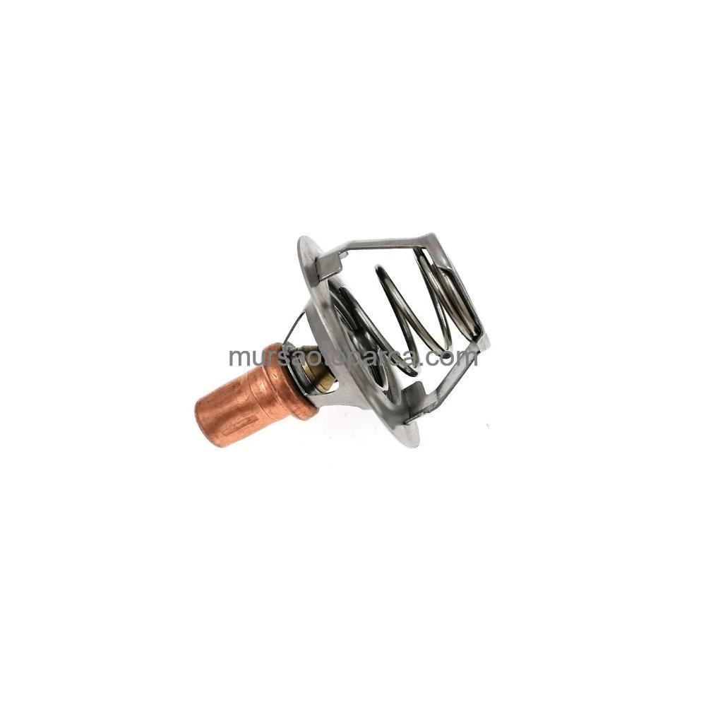 R19/Clio/Express Termostat 91 C 88- 7700858802