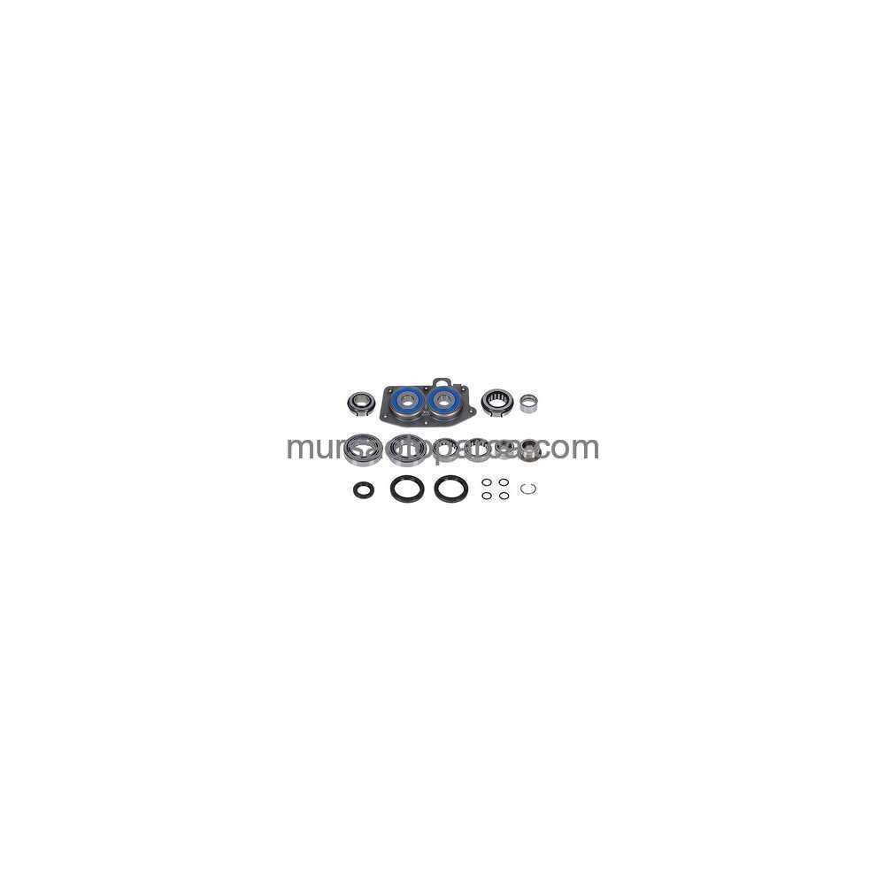 Passat Şanzıman Rulmanı Kit 0Aj 05-10 02T311206H