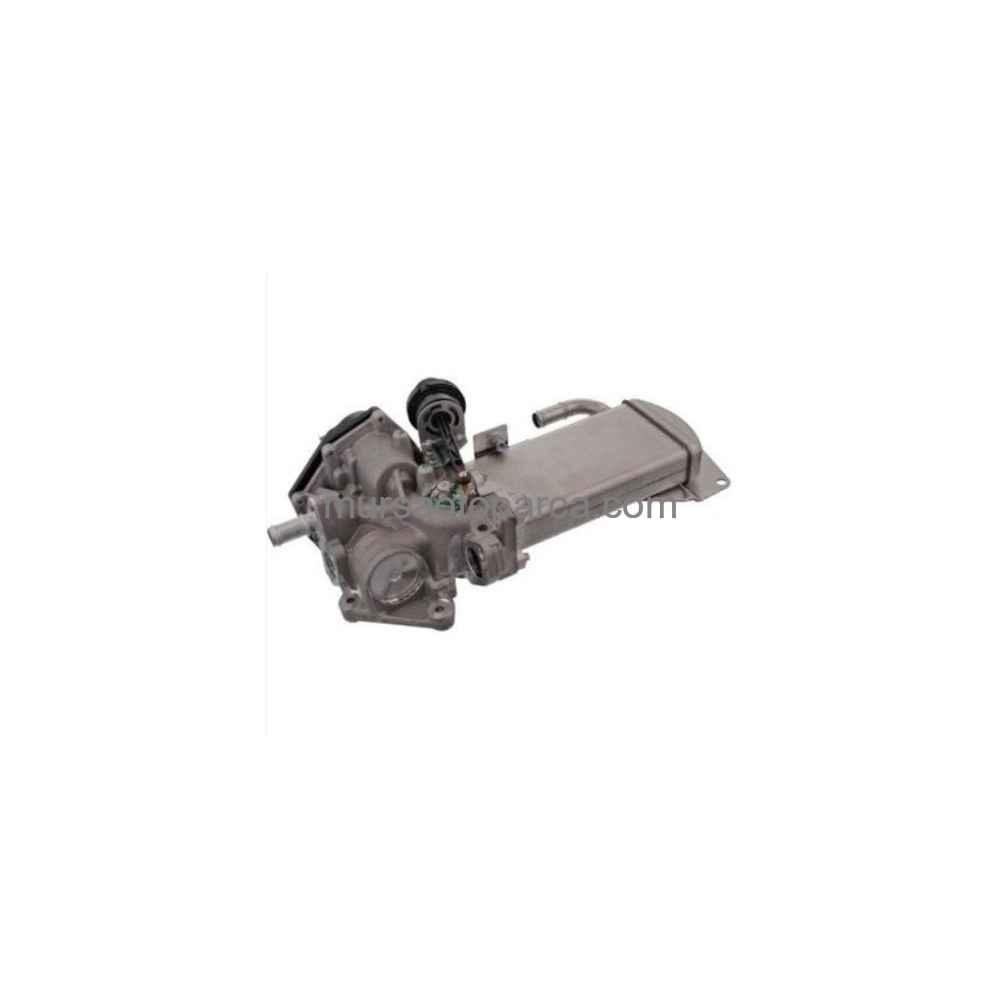 A4-A5-A6-Q5 Egr Valfi 08- 03L131512Bq