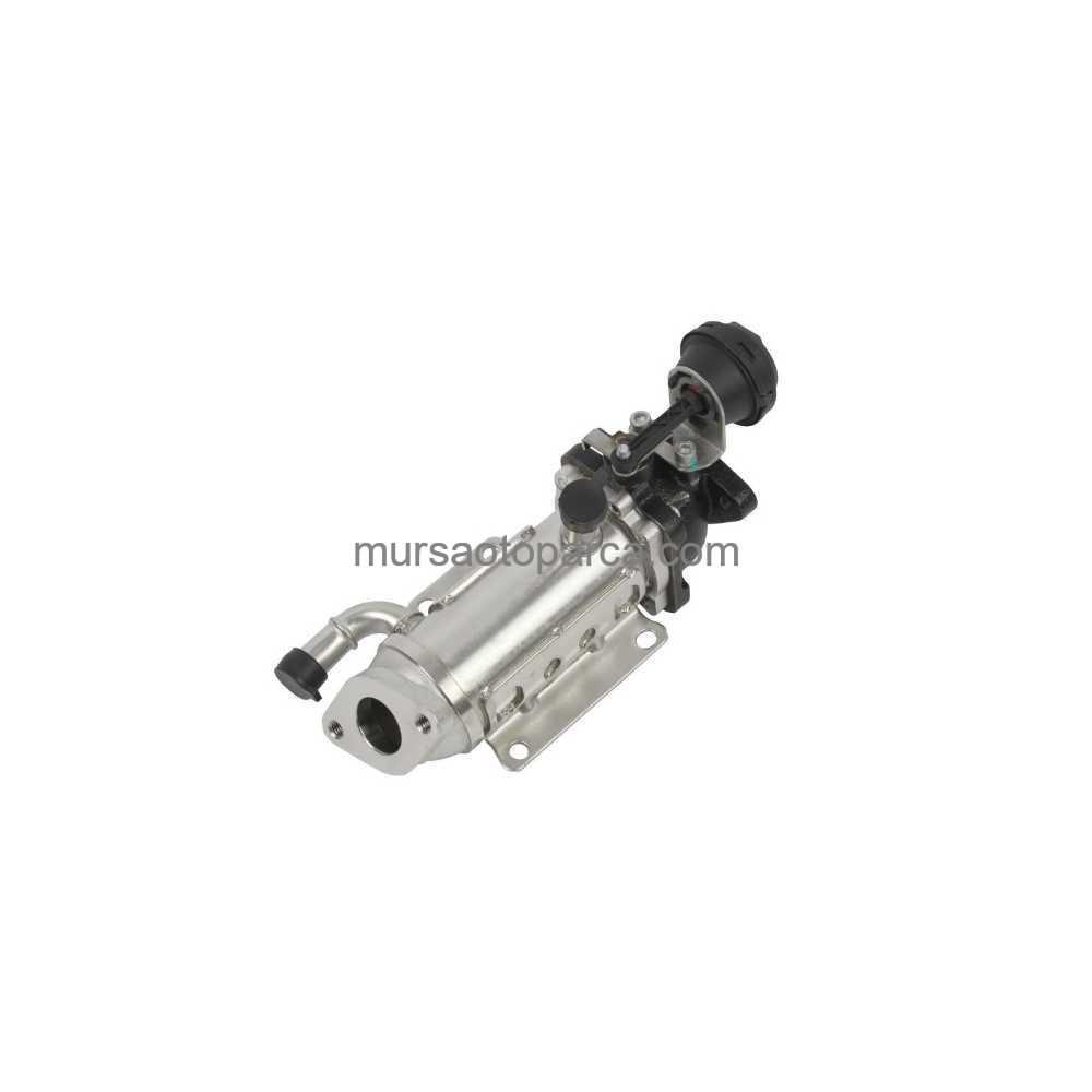 Menage 2/Scenıc 2/Trafıc 2 Egr Valfi 05- 8200505409